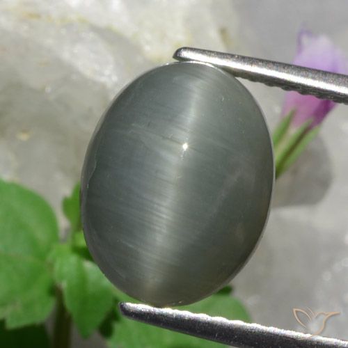4.89ct Natural cinza médio Quartzo Olho de Gato, oval, Opaco