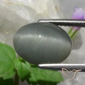 Quartzo Olho de Gato cinza médio Natural 4.89ct, oval, Opaco