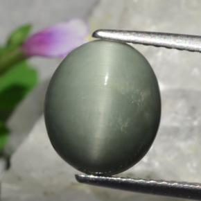 Quartz cat's eye verde natural 3,01ct, corte oval, opaco