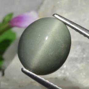 Quartz cat's eye verde natural 3,01ct, corte oval, opaco