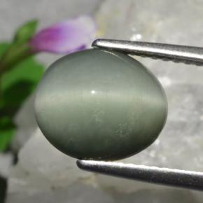 Quartz cat's eye verde natural 3,01ct, corte oval, opaco