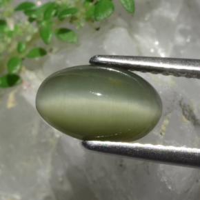 Quartzo Olho de Gato Verde Natural 1.90ct, Corte Oval, Opaco