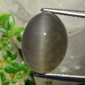 Quartz cat's eye marrom natural 5,37ct, corte oval, translúcido