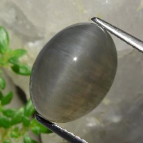 Quartz cat's eye marrom natural 5,37ct, corte oval, translúcido