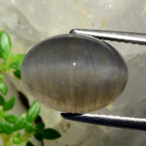 Quartz cat's eye marrom natural 5,37ct, corte oval, translúcido
