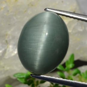 Quartzo olho de gato verde natural 8,20ct, corte oval, opaco