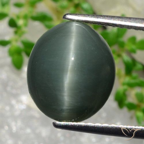 Quartzo Olho de Gato cinza esverdeado Natural 5.66ct, Corte Oval, Opaco
