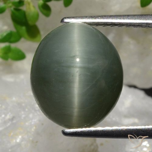 6.98ct Natural cinza médio Quartzo Olho de Gato, oval, Opaco