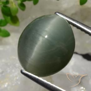 Quartzo Olho de Gato cinza médio Natural 6.98ct, oval, Opaco