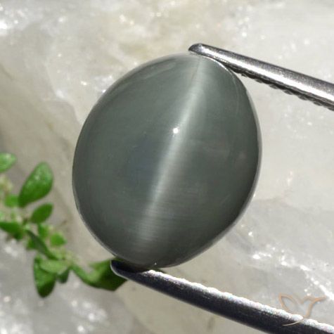 Quartzo Olho de Gato cinza esverdeado Natural 6.17ct, Corte Oval, Opaco