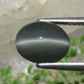 Quartzo Olho de Gato Verde Natural 2.63ct, Corte Oval, Opaco