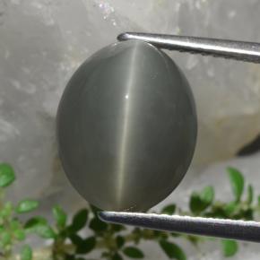 Quartzo Olho de Gato Verde Natural 8.58ct, Corte Oval, Opaco