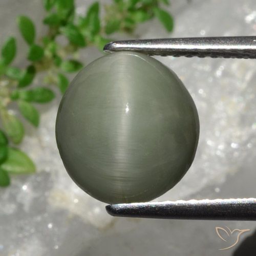 4.44ct Natural Verde acinzentado Quartzo Olho de Gato, oval, Opaco