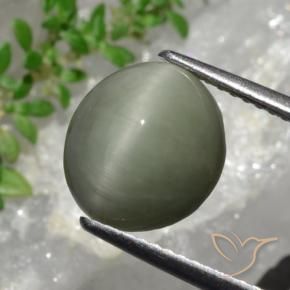 Quartzo Olho de Gato Verde acinzentado Natural 4.44ct, oval, Opaco