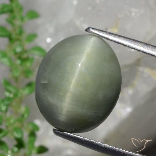 6.13ct Natural Verde médio Quartzo Olho de Gato, oval, Opaco