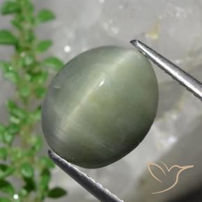 Quartzo Olho de Gato Verde médio Natural 6.13ct, oval, Opaco