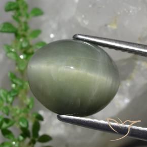 Quartzo Olho de Gato Verde médio Natural 6.13ct, oval, Opaco