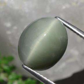 Quartzo Olho de Gato Verde médio Natural 5,84ct, Corte Oval, Opaco