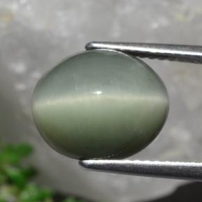 Quartzo Olho de Gato Verde médio Natural 5,84ct, Corte Oval, Opaco
