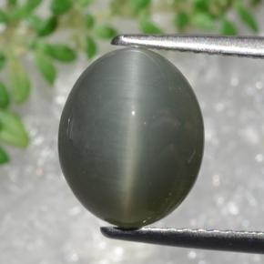 Quartzo Olho de Gato cinza esverdeado Natural 3.22ct, Corte Oval, Opaco