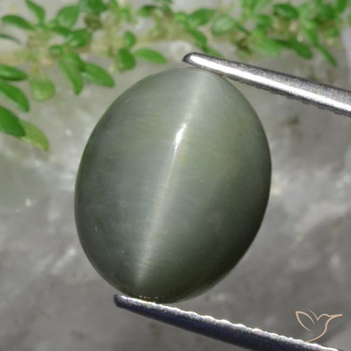 5.82ct Natural Verde médio Quartzo Olho de Gato, oval, Opaco