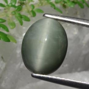 Quartzo Olho de Gato Verde Natural 3.36ct, Corte Oval, Opaco