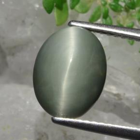 Quartzo Olho de Gato Verde Natural 3.82ct, Corte Oval, Opaco