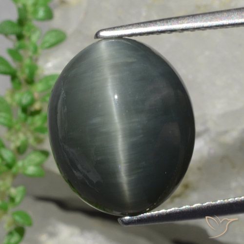 8,57 ct olho de gato oval de quartzo, 13 x 10,8 mm do Sri Lanka, Photo A