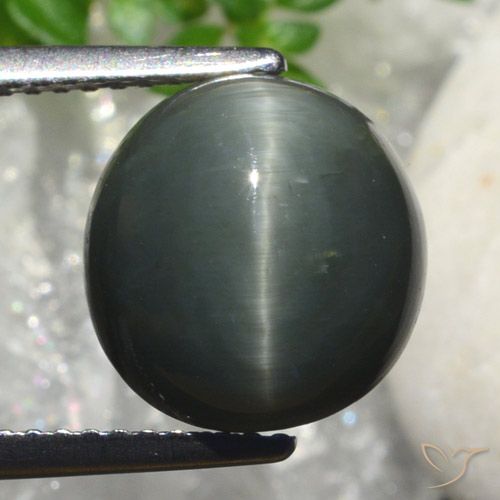 6.82ct Natural Cinza escuro Quartzo Olho de Gato, oval, Opaco