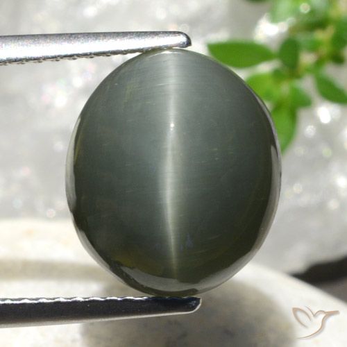7.44ct Natural cinza médio Quartzo Olho de Gato, oval, Opaco