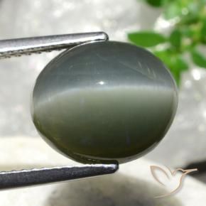 Quartzo Olho de Gato cinza médio Natural 7.44ct, oval, Opaco