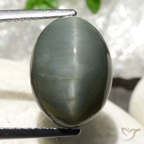8,7 ct olho de gato oval de quartzo, 13,5 x 10 mm do Sri Lanka, Photo A