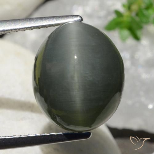 7.47ct Natural Cinza escuro Quartzo Olho de Gato, oval, Opaco