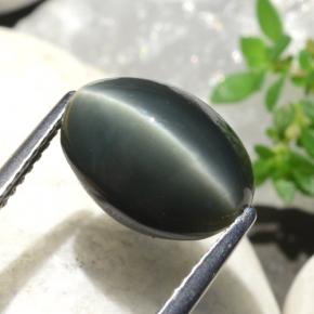 Quartz cat's eye verde natural 5,06ct, corte oval, opaco