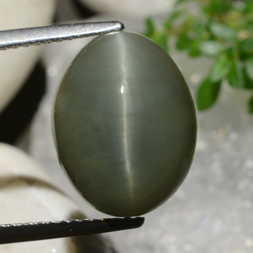 Quartzo Olho de Gato verde quente Natural 8.34ct, Corte Oval, Opaco