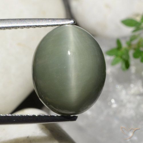 7.32ct Natural Verde médio Quartzo Olho de Gato, oval, Opaco
