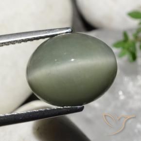 Quartzo Olho de Gato Verde médio Natural 7.32ct, oval, Opaco