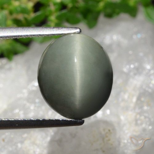 6.02ct Natural cinza esverdeado Quartzo Olho de Gato, oval, Opaco