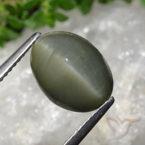 Quartzo Olho de Gato Verde médio Natural 5.98ct, oval, Opaco