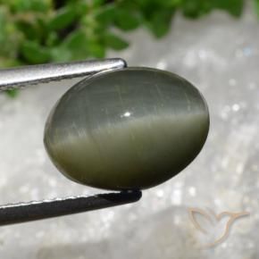 Quartzo Olho de Gato Verde médio Natural 5.98ct, oval, Opaco