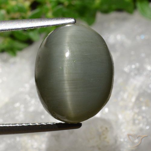 8.13ct Natural Verde acinzentado Quartzo Olho de Gato, oval, Opaco