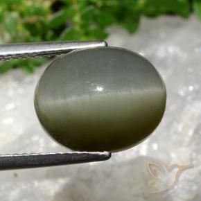 Quartzo Olho de Gato Verde acinzentado Natural 8.13ct, oval, Opaco