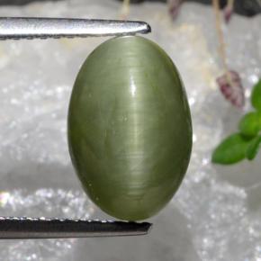 Quartzo Olho de Gato Verde médio Natural 3.88ct, Corte Oval, Opaco