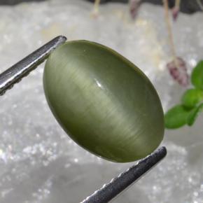 Quartzo Olho de Gato Verde médio Natural 3.88ct, Corte Oval, Opaco