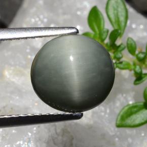 Quartzo Olho de Gato cinza médio Natural 2.83ct, Corte Oval, Opaco