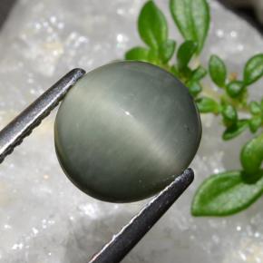 Quartzo Olho de Gato cinza médio Natural 2.83ct, Corte Oval, Opaco