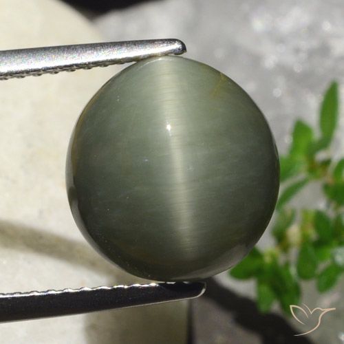 6.23ct Natural verde quente Quartzo Olho de Gato, oval, Opaco