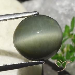 Quartzo Olho de Gato verde quente Natural 6.23ct, oval, Opaco