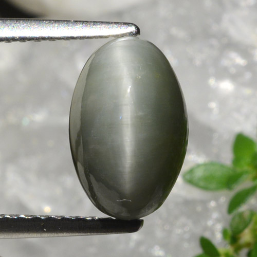 Quartzo Olho de Gato cinza médio Natural 2.99ct, Corte Oval, Opaco