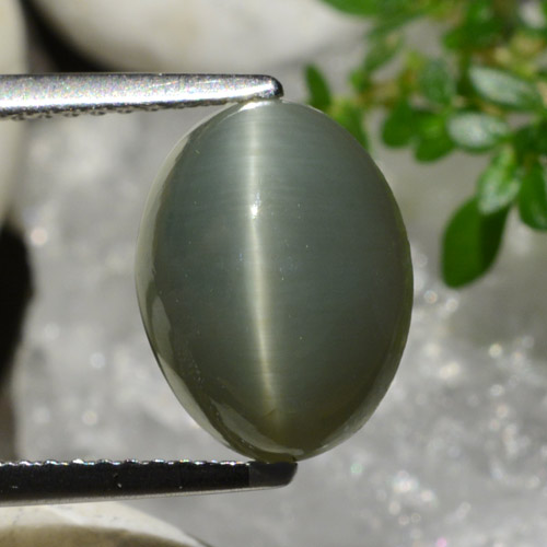 Quartzo Olho de Gato cinza esverdeado Natural 4.96ct, Corte Oval, Opaco